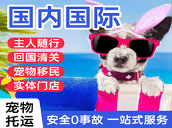 左旗巴彦浩特机场货运国际宠物托运 【国